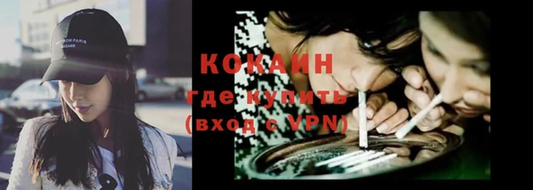 гидра Бородино