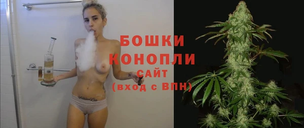 ПСИЛОЦИБИНОВЫЕ ГРИБЫ Верхний Тагил