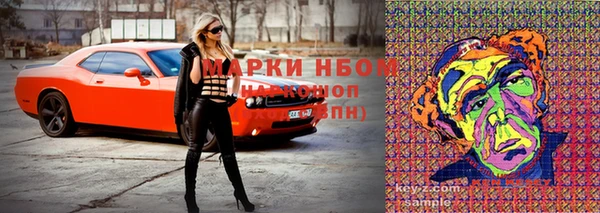 ПСИЛОЦИБИНОВЫЕ ГРИБЫ Верхний Тагил