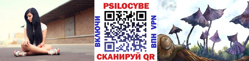 Псилоцибиновые грибы прущие грибы  Курск 